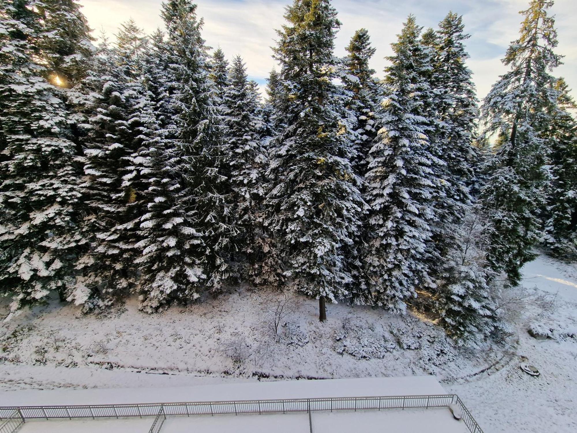 Flora Apartments Tmf Borovets Bilik gambar